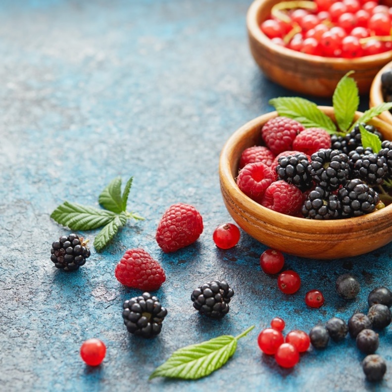 التوت البري يمنع انتشار اخطر أنواع البكتيريا