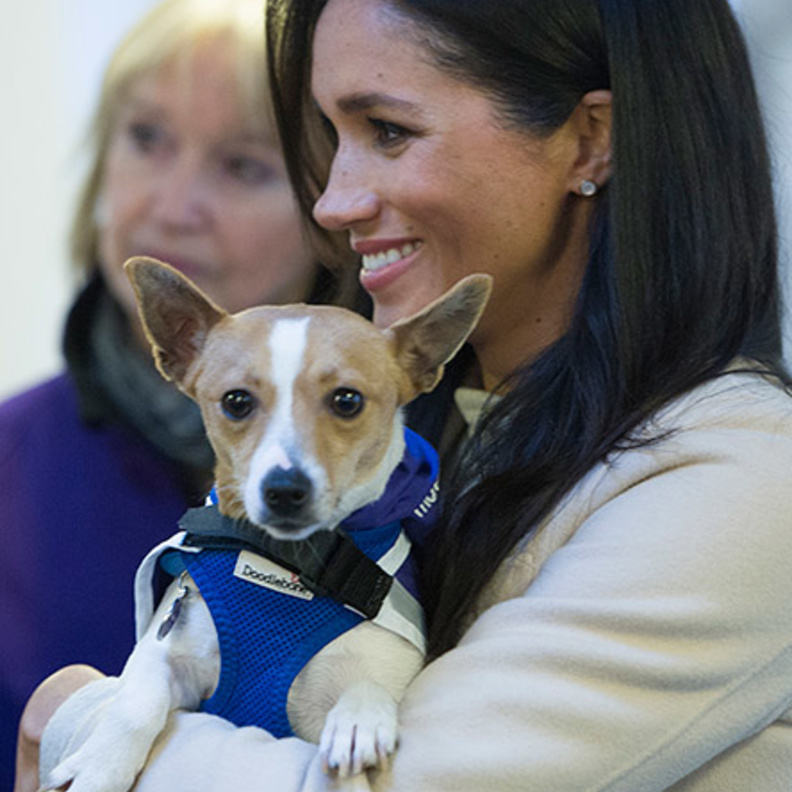 ميغان ماركل