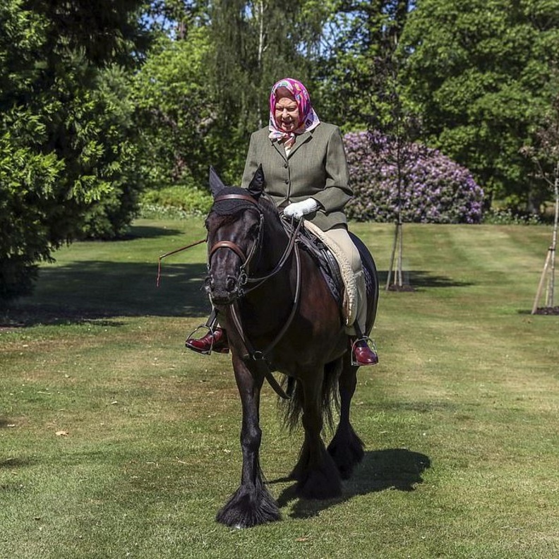  نسّقت الملكة الجاكيت مع السروال المخصص لهذه الرياضة كما غطّت رأسها بوشاح ملوّن