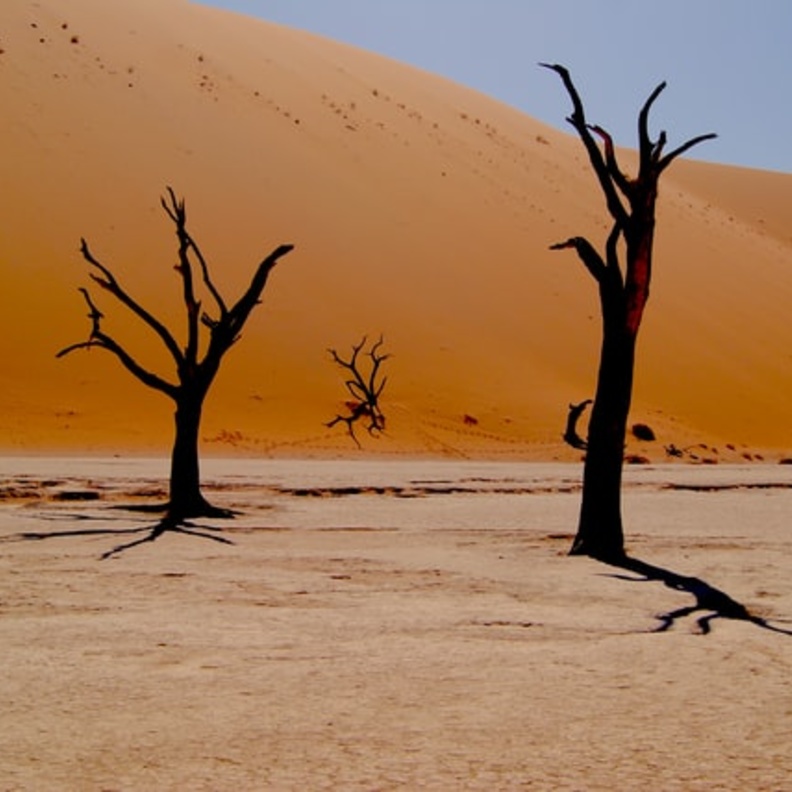  مشهد من منتزهات ناميبيا - Marcelo Novais