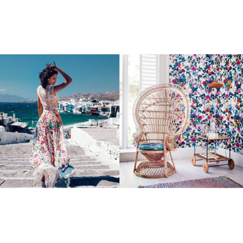 نور عريضة بالمزهر المشرق الذي يغني ديكور المنزل ويفيض فيه حيوية وطاقة