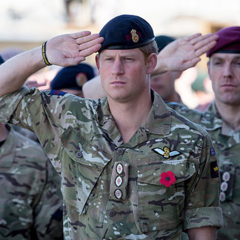 الأمير هاري يدعم خطط افتتاح متحف بطولات قوات المارينز الملكية