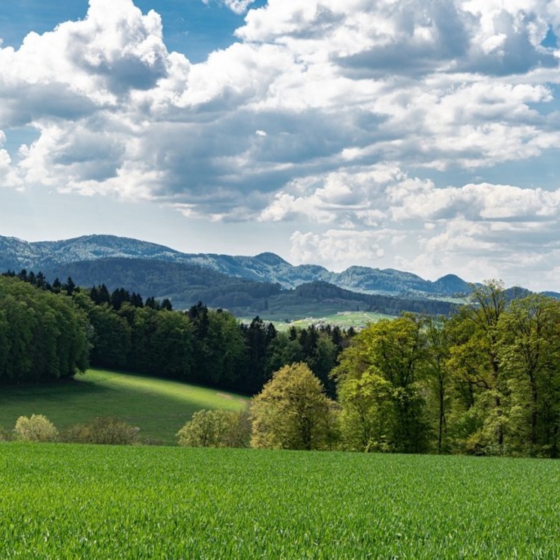  تعرف على أفضل أماكن سياحية في سويسرا بواسطة marcelkessler