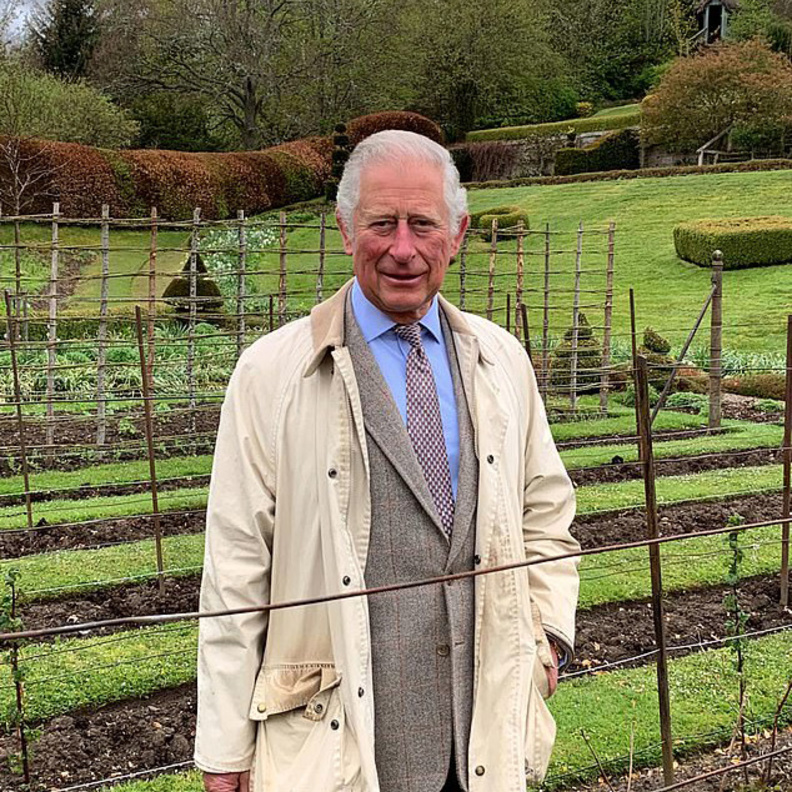 الأمير تشارلز أظهر أنه مستعد للإمساك بمقاليد الأمور