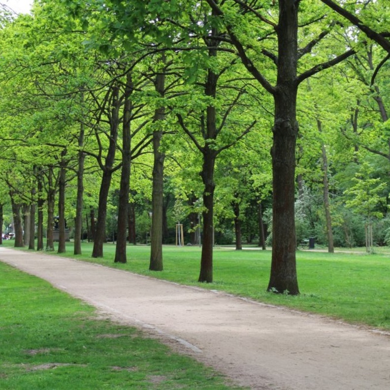  منتزه أبشيرون الوطني Absheron National Park بواسطة Rafał Rudol