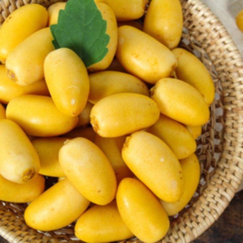 فوائد البلح الصحية