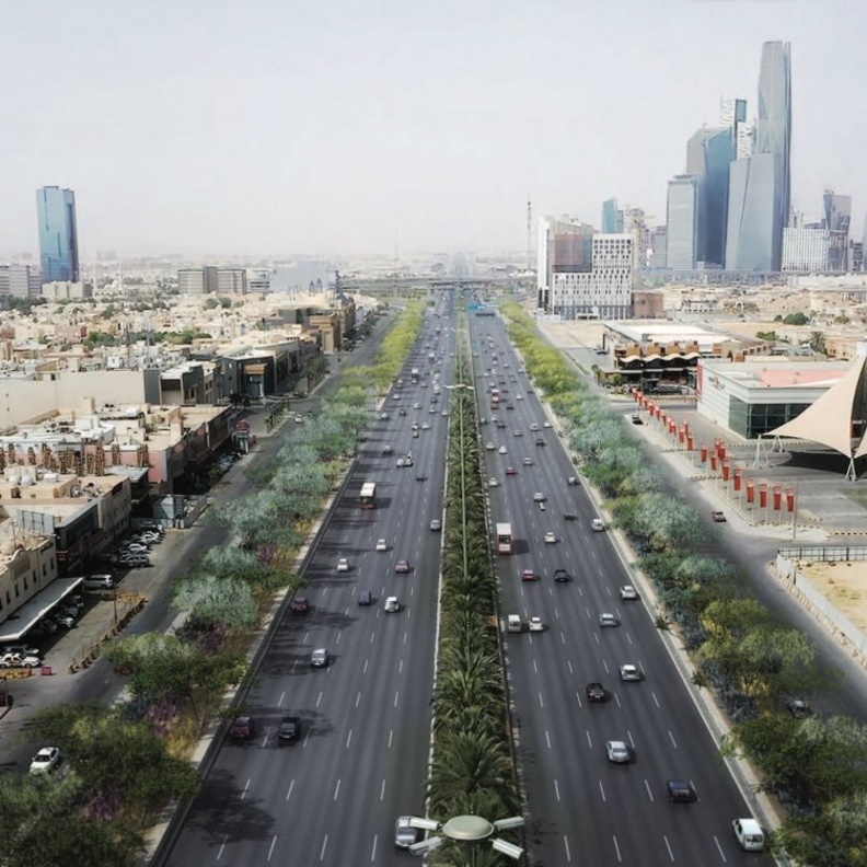  من مشروع الرياض الخضراء