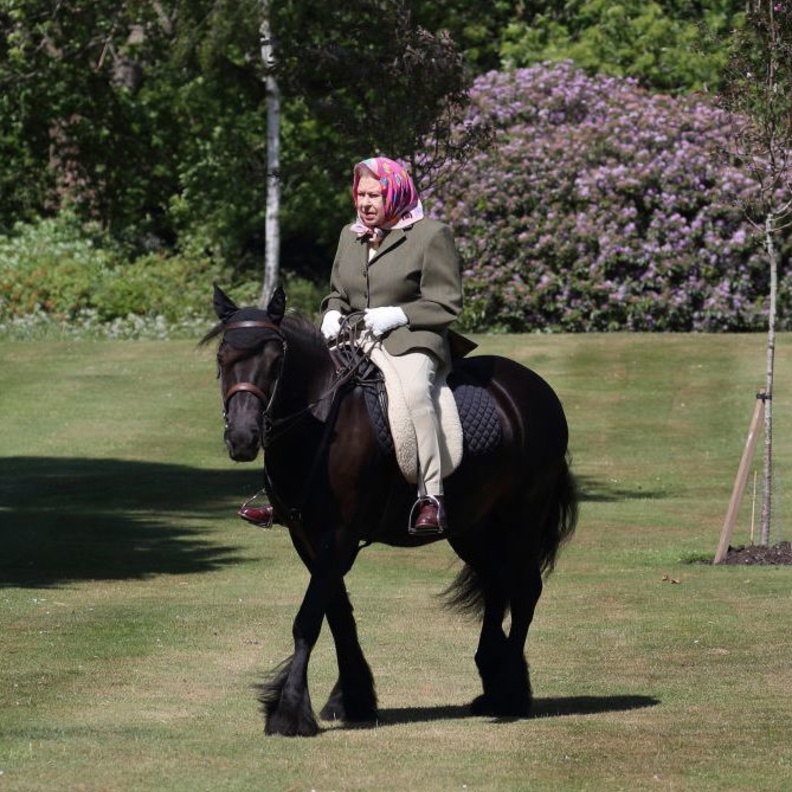 تعرفوا على أحصنة الملكة إليزابيث الثانية المفضلة لديها