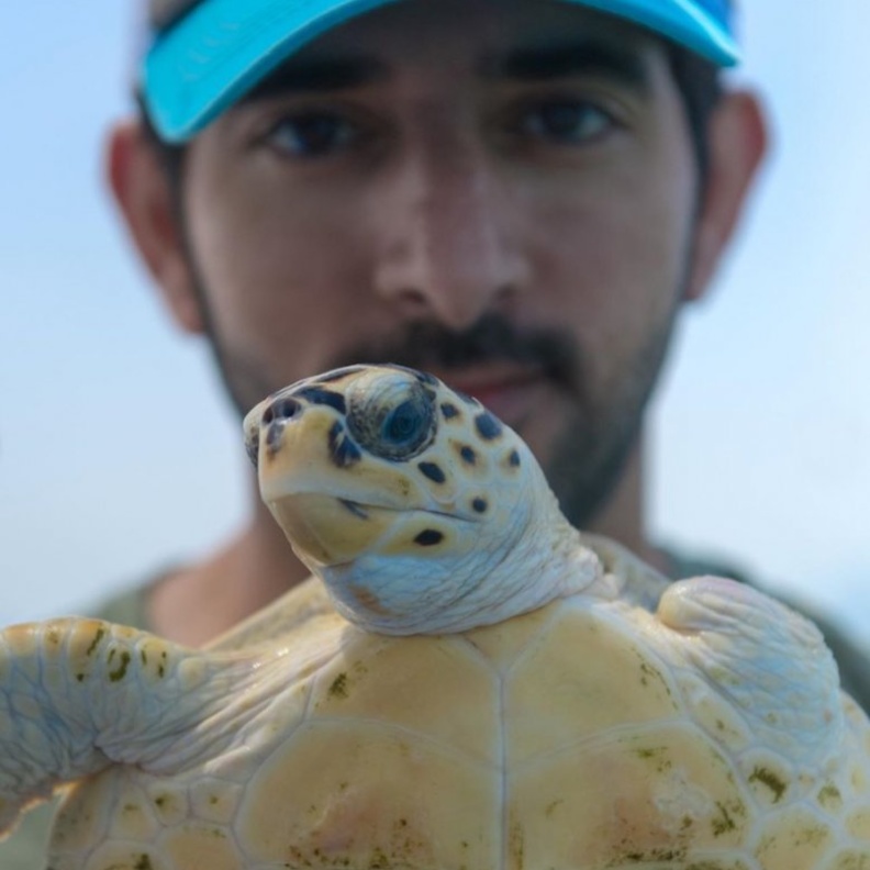 فزاع يحتفي بالسلاحف البحرية في يومها العالمي 