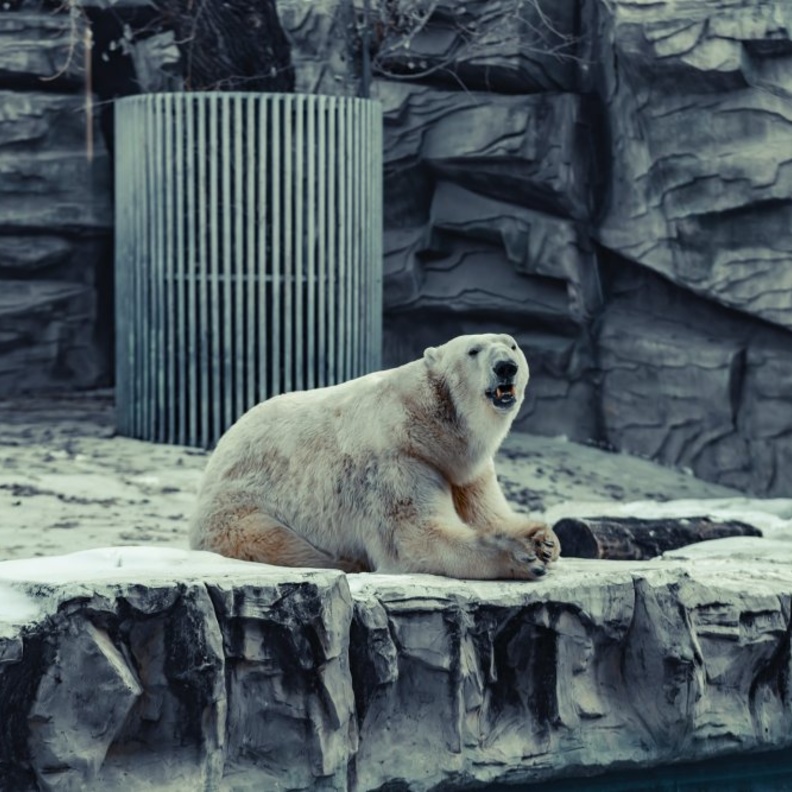  حديقة بيجينغ - allen lee