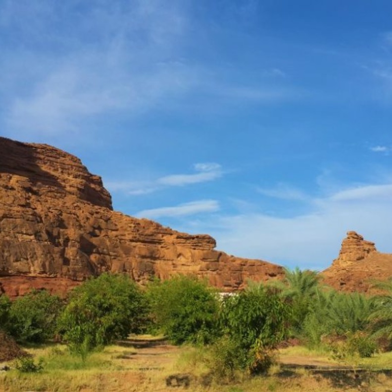 الطبيعة بين صخور العلا بواسطة Konevi