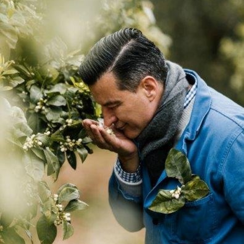  GUERLAIN وزهر البرتقال.. اليكم سرّ صانع العطور