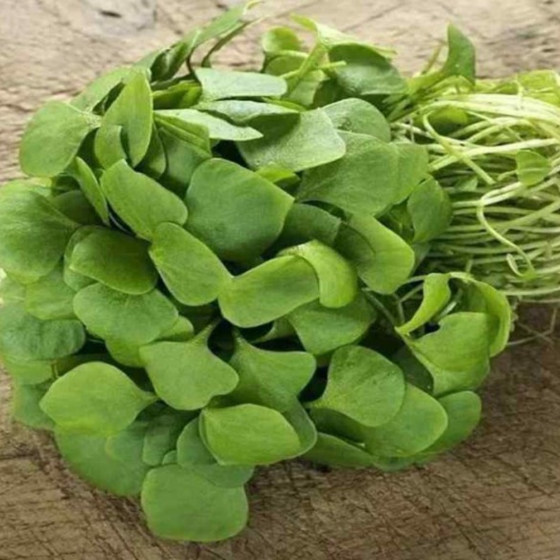 فوائد البقلة الصحية