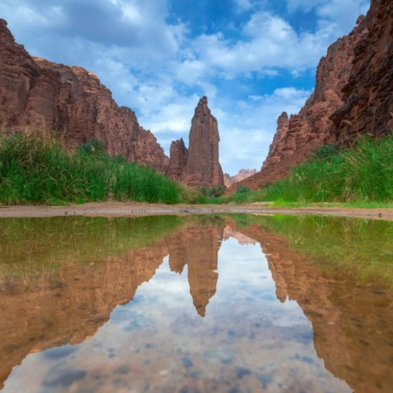 تبوك في ملتقى الوديان
