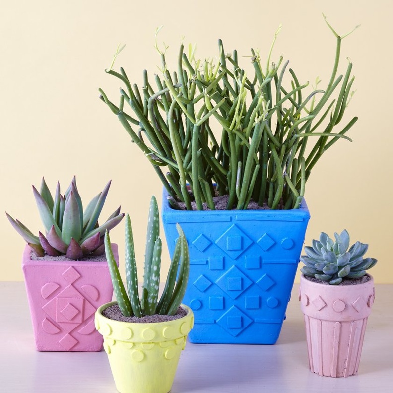 أحواض نباتات من الجبس الملون