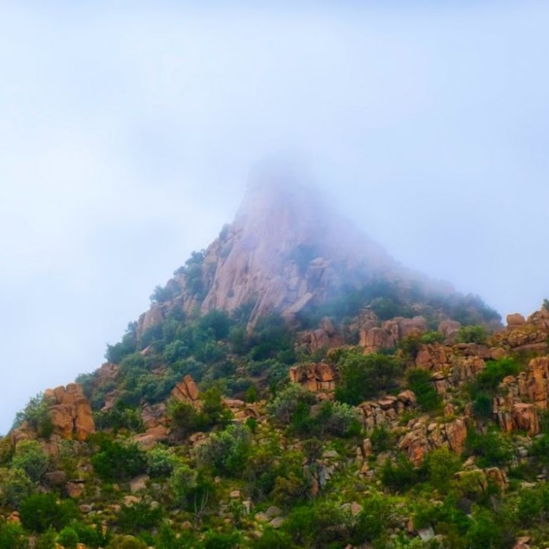 جبال الطائف الساحرة 