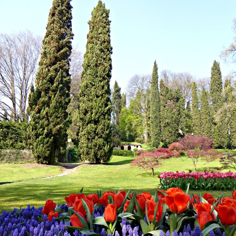 باركو جياردينو سيجورتا Parco Giardino Sigurtà، فينيتو بواسطة Alessio Lin