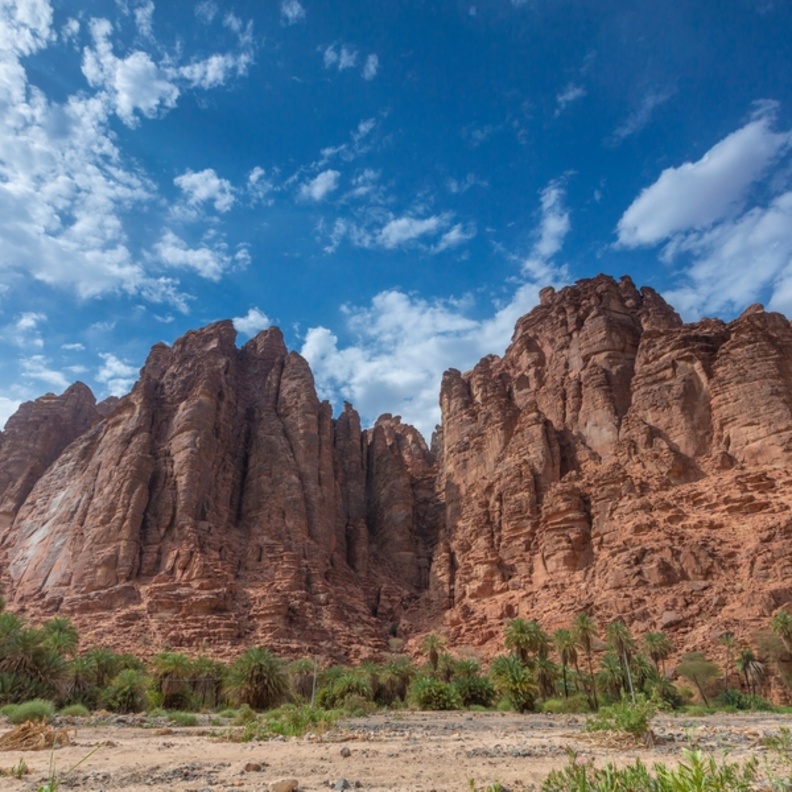 الصخور والطبيعة في صحراء تبوك