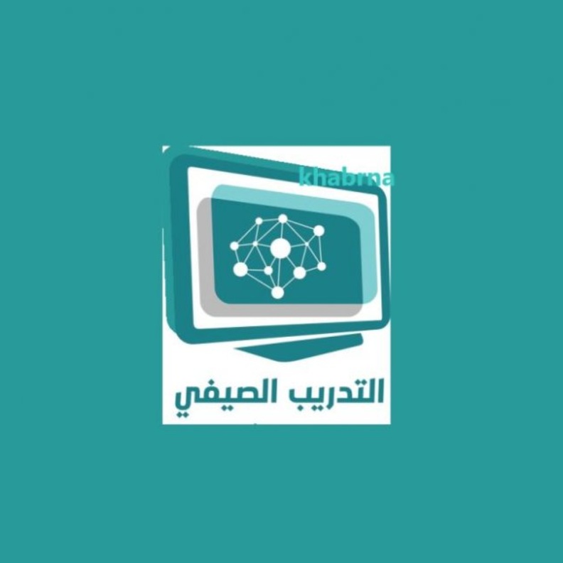 التطوير المهني التعليمي للتدريب الصيفي