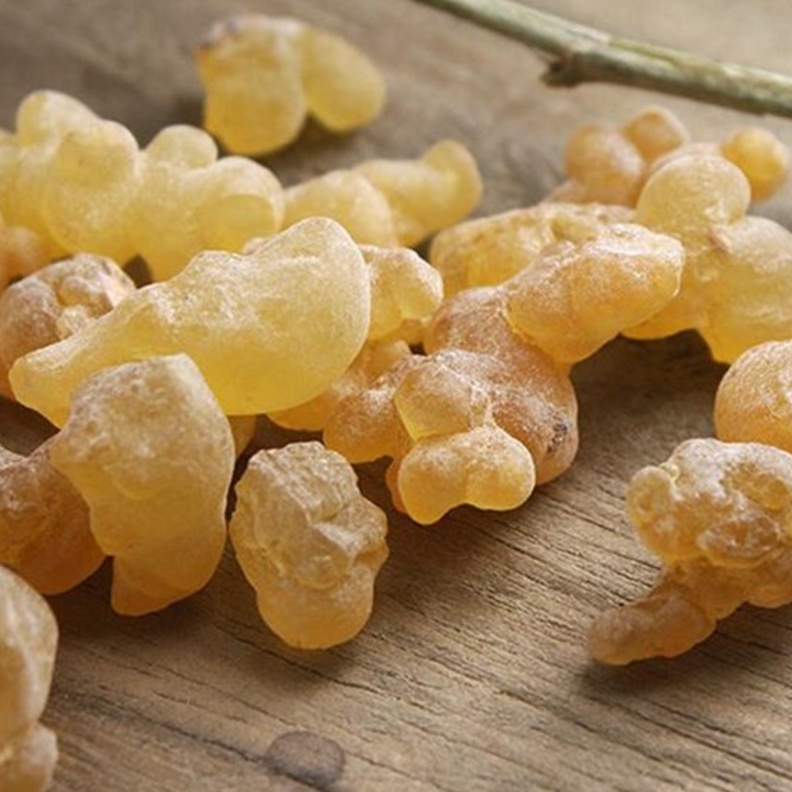 فوائد لبان الذكر الصحية