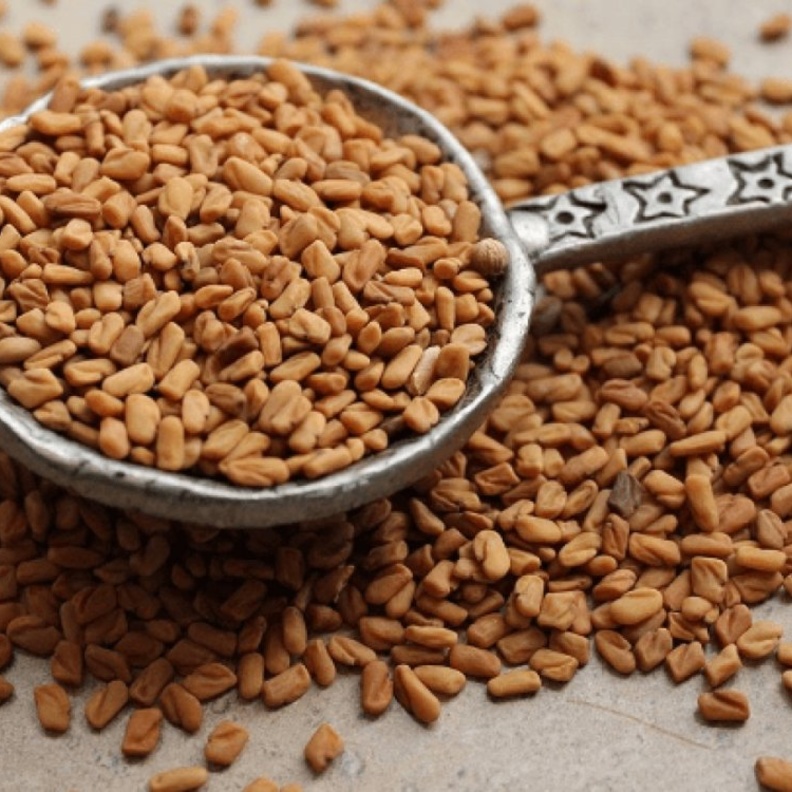  فوائد الحلبة للعظام والعضلات