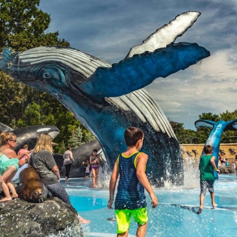 أكواريوم هنري دورلي Henry Doorly Zoo، أوماها، نبراسكا بواسطة Fletcher Pride