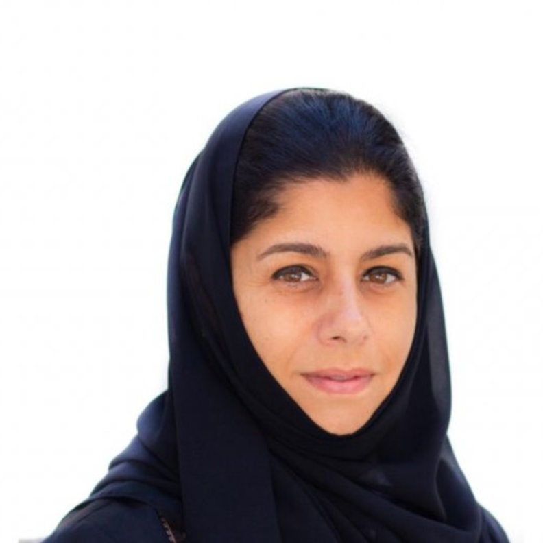 تعرفوا على (دينا أمين) التي تم تعيينها رئيسا تنفيذيا لهيئة الفنون البصرية