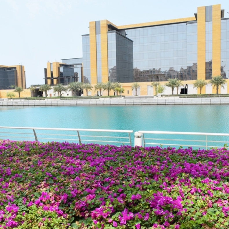  مدينة الملك عبدالله الاقتصادية 