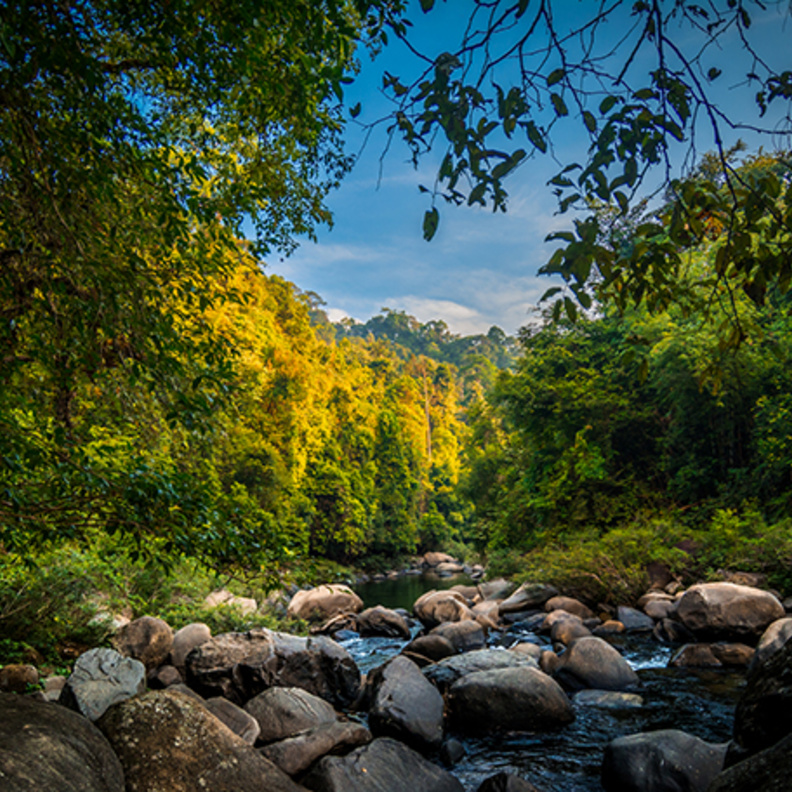 حديقة كوه سوك الوطنية Koh Sok National Park، تايلاند بواسطة Brienna Scott