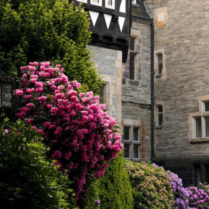 فنادق فاخرة في الطبيعة الخلابة ملاذكم في العطلة الصيفية