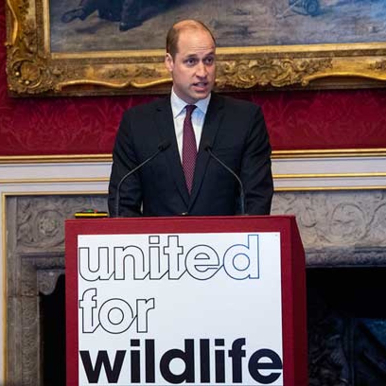 الأمير وليام