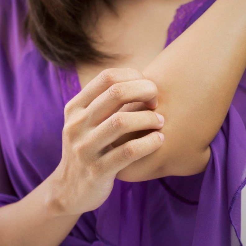  دراسة تؤكد أن البعوض لا ينقل فيروس كورونا