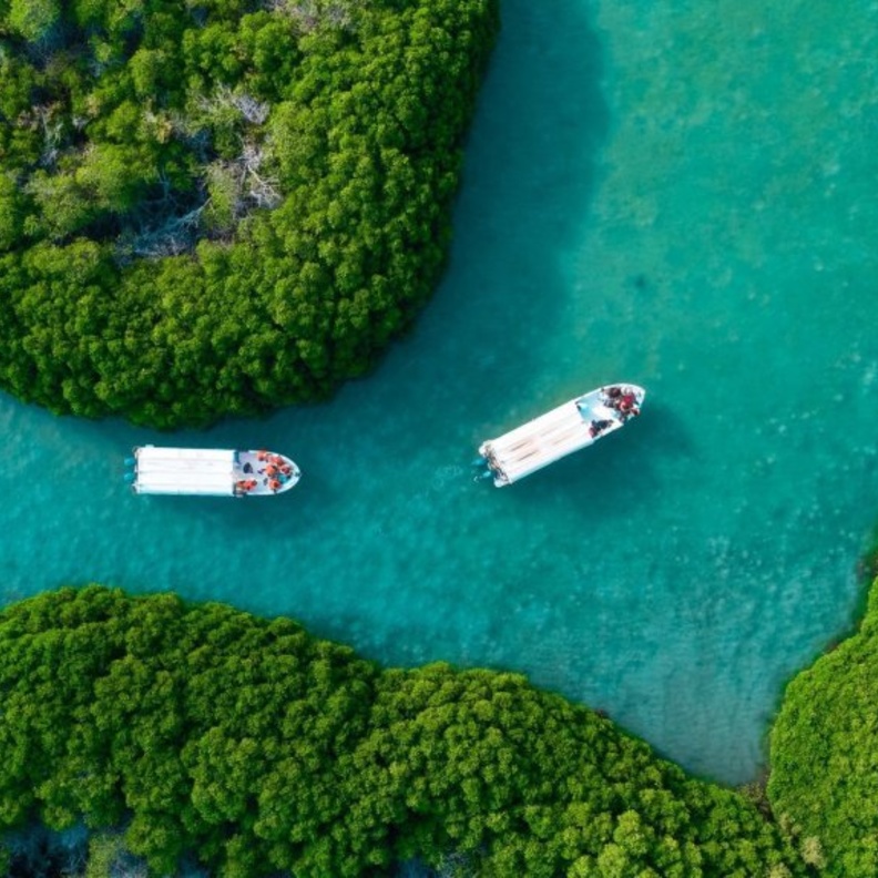 طبيعة خلابة في جزر فرسان - الصورة بواسطة المصور الفوتوغرافي خالد زاروق