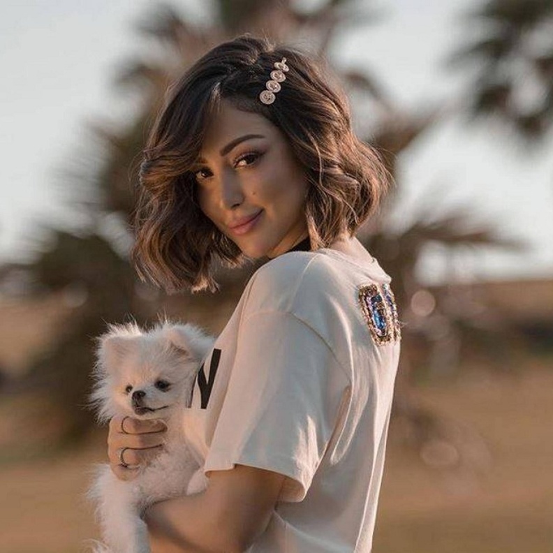 سجن محمد وزيري على ذمة التحقيقات