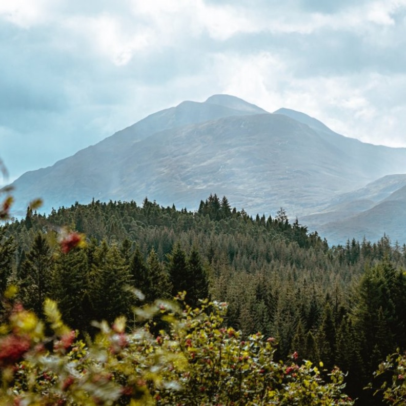 المرتفعات الاسكتلندية - Dan Smedley