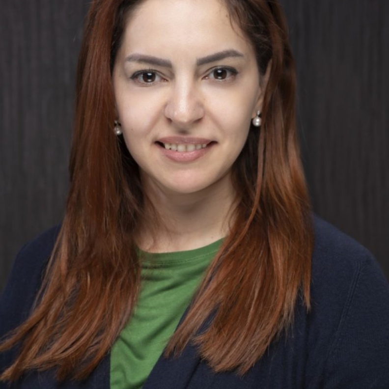 الأستاذة المساعدة في كلية الهندسة والعلوم الفيزيائية الدكتورة رُلى شرقي لـ"هي": ابتكرت منظومة تكشف "كورونا"