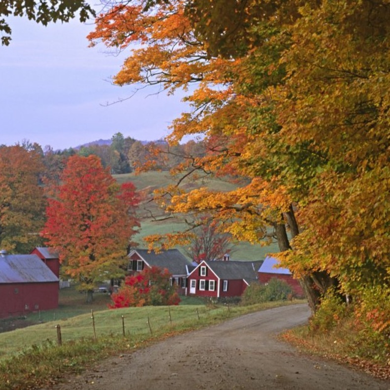  مزرعي جيني في فيرمونت
