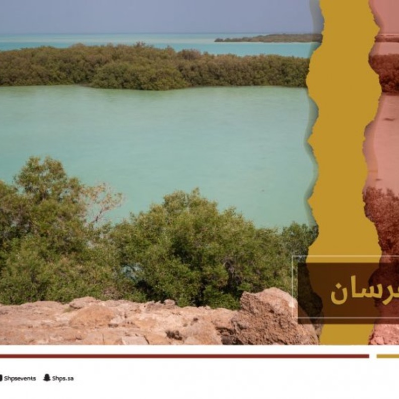 نحن تراثنا تسعى لتسجيل محمية جزر الفرسان كأول محمية طبيعية سعودية في اليونيسكو 
