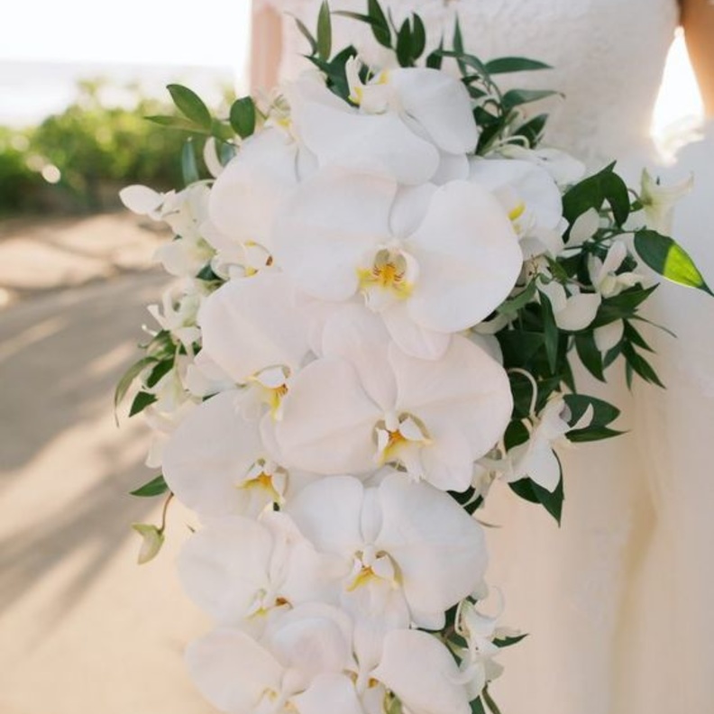 افكار لتزيين حفل الزفاف الصيفي بأزهار الأوركيد