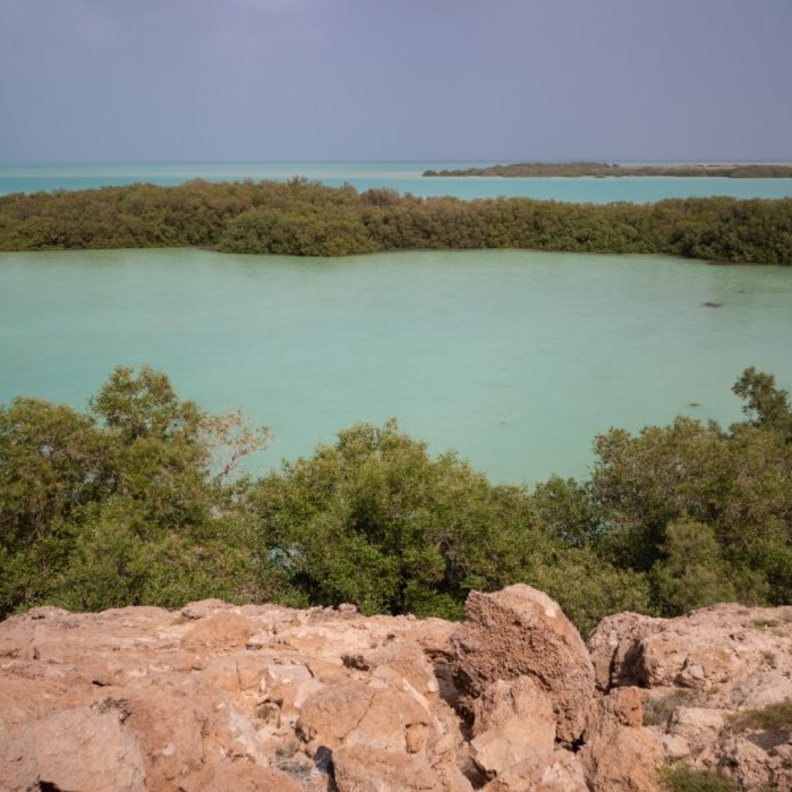 الطبيعة في جزر فرسان