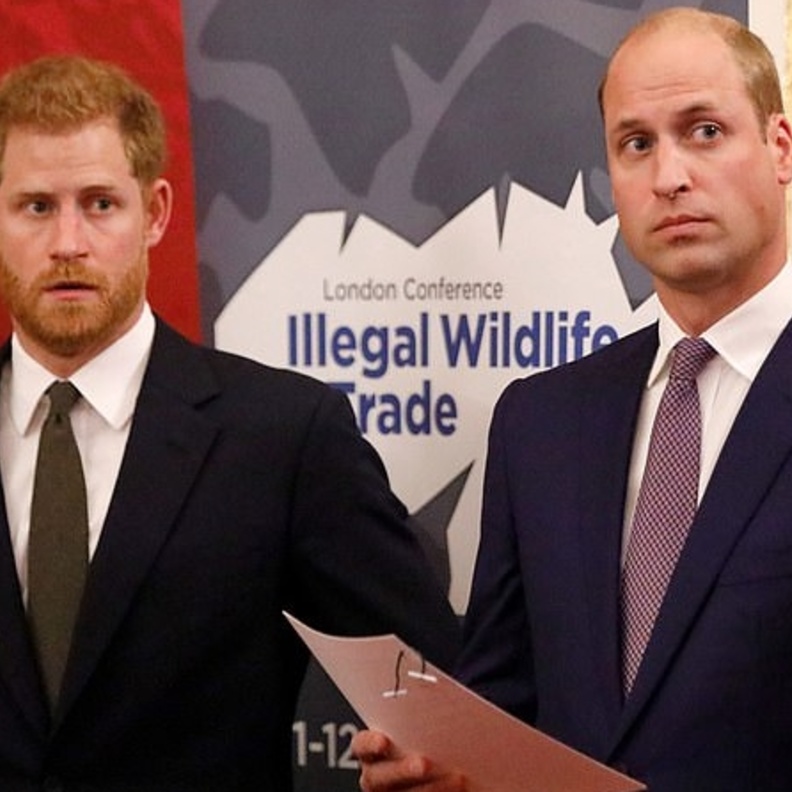 هاري ووليام