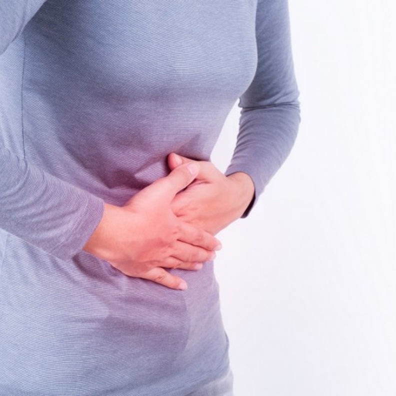 نبات الشيبة يعالج أعراض مرض الملاريا