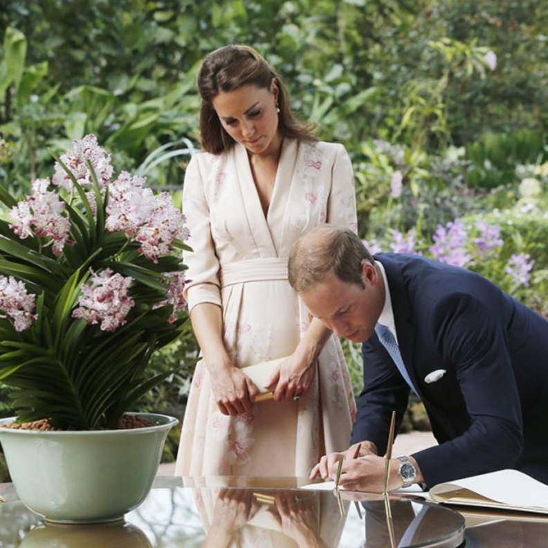 بمناسبة اليوم العالمي لعسيري اليد.. من هم مستخدمي اليد اليسرى من أفراد العائلة المالكة البريطانية؟