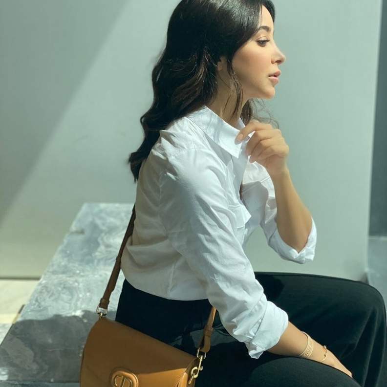 احدث موديلات حقائب فاخرة على الكتف من وحي اسيل عمران