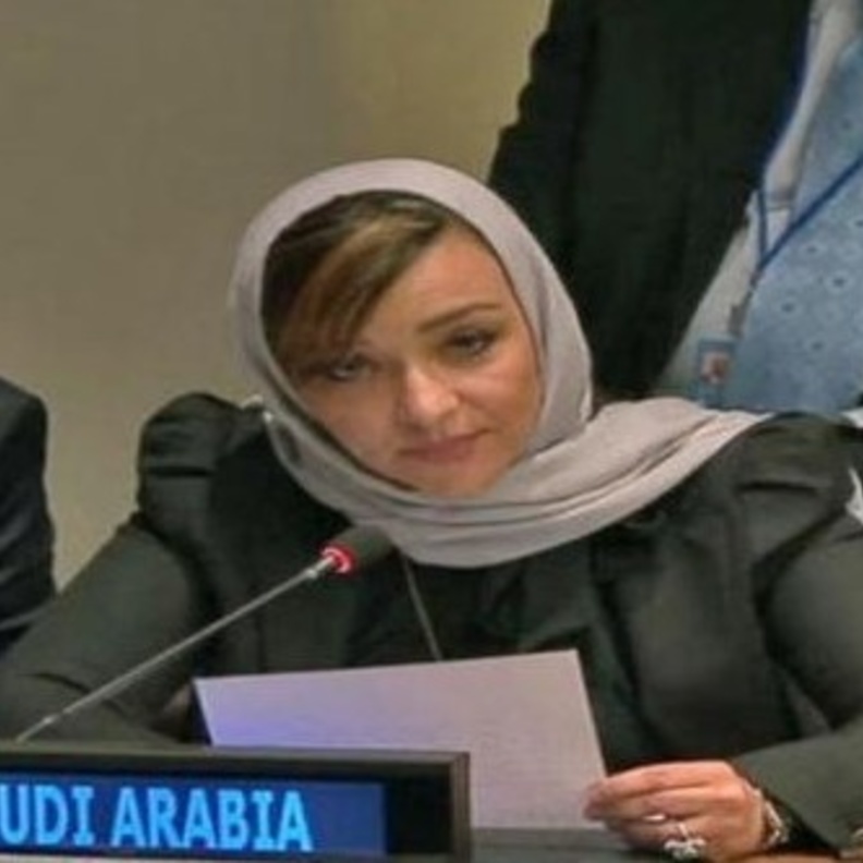  الدكتورة منال رضوان أول سعودية تتحدث باسم المملكة رسمياً في مجلس الأمن