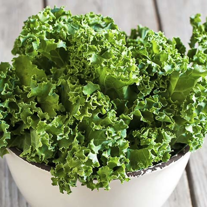 فوائد نبات الكالي الصحية