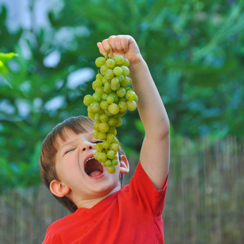 ما هي فوائد العنب الاخضر للاطفال
