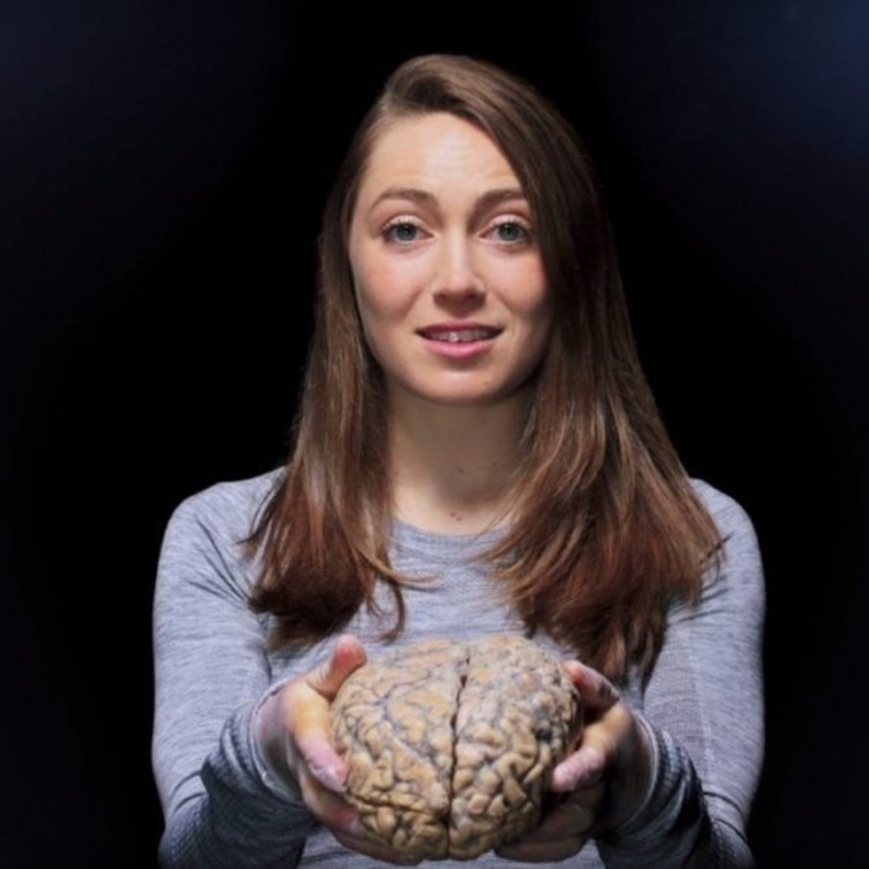 اسباب ارتجاج المخ وطرق علاجه