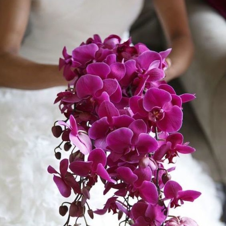  مسكات عروس ناعمه بازهار الاوركيدا الملونة