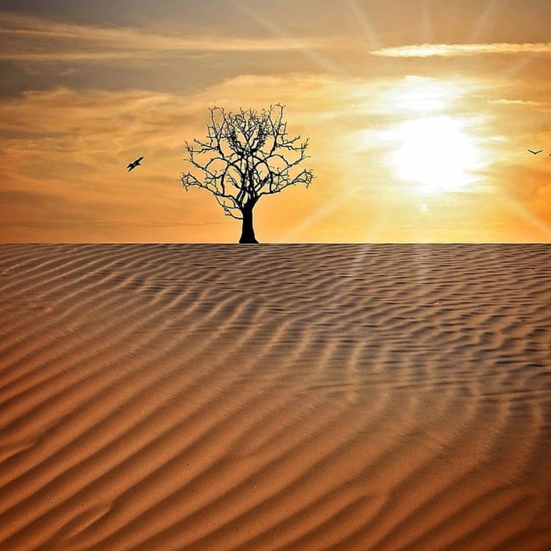  أهمية ارتداء الكمامة أثناء الخروج للوقاية من كورونا